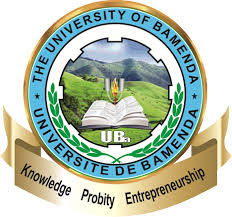 University of bamenda